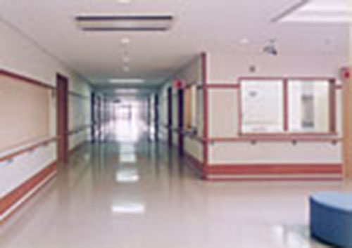 ハモニカの内部2